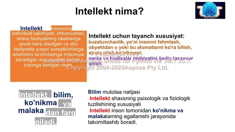 Intellekt testlari 3