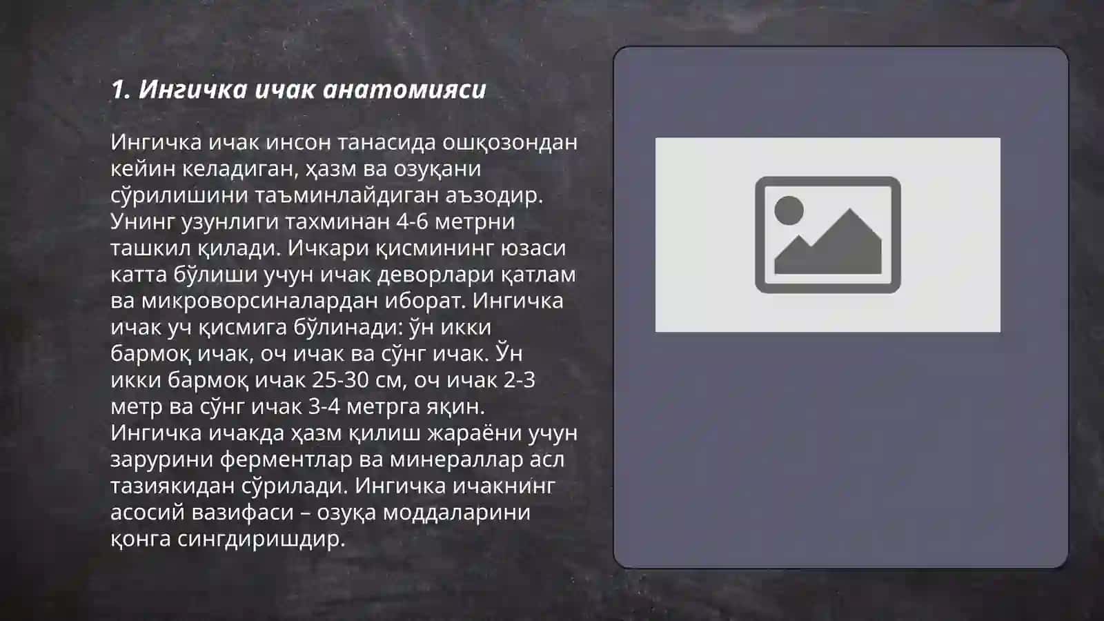 Ингичка ичак физиологияси, вазифаси ва жойлашган жойи 3