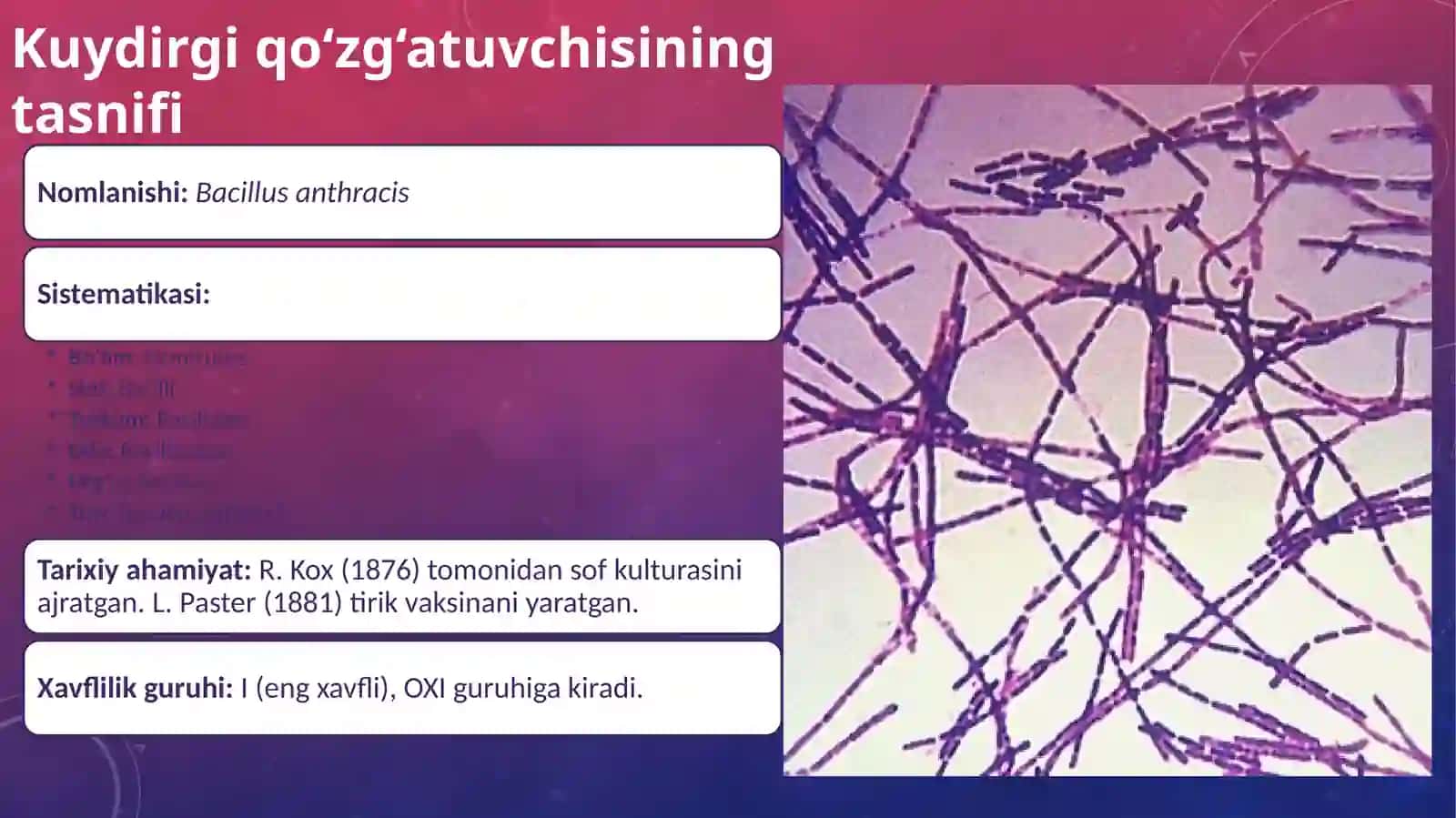 O'ta xavfli infeksiyalar  Kuydirgi va burutsellyoz qoʻzgʻatuvchilarini tasnifi va laboratoriya tashxisi 3
