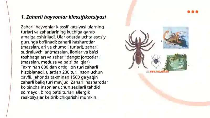 Zaharli Hayvonlar Klassifikatsiyasi 3