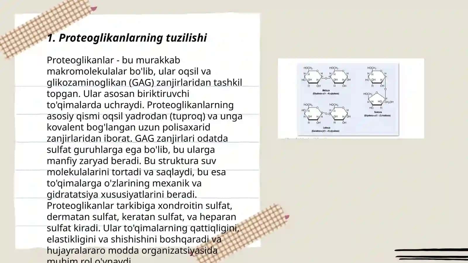 Proteoglikanlar tuzilishi 3