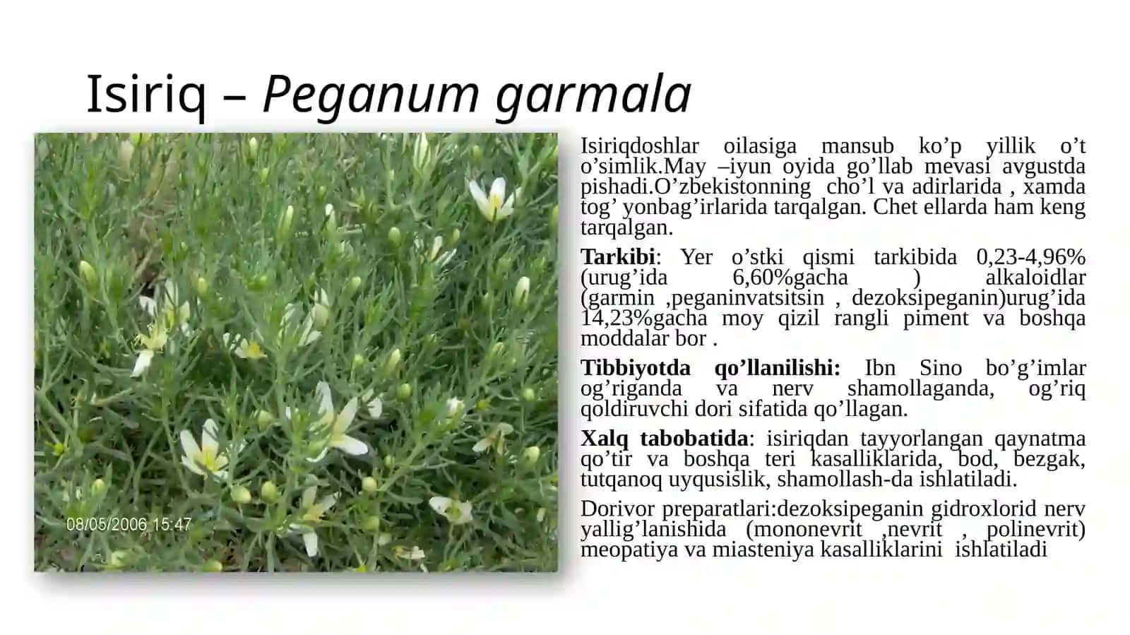 CHO’L ZONASI DORIVOR O’SIMLIKLARINING BIOLOGIYASI VA EKOLOGIYASI 3