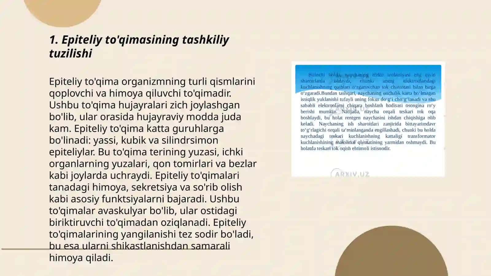 Epiteliy tòqimasining umumiy xarakteristikasi va klassifikatsiyasi 3