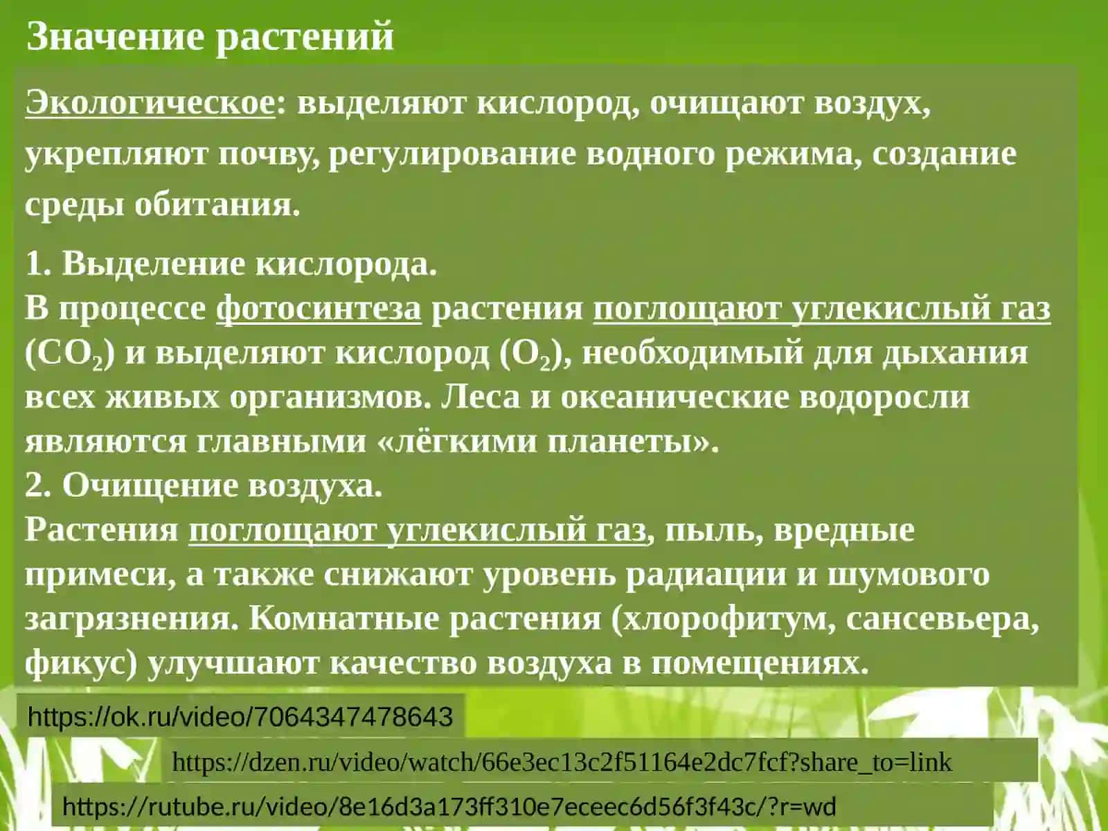 Растительный мир и его систематика 3