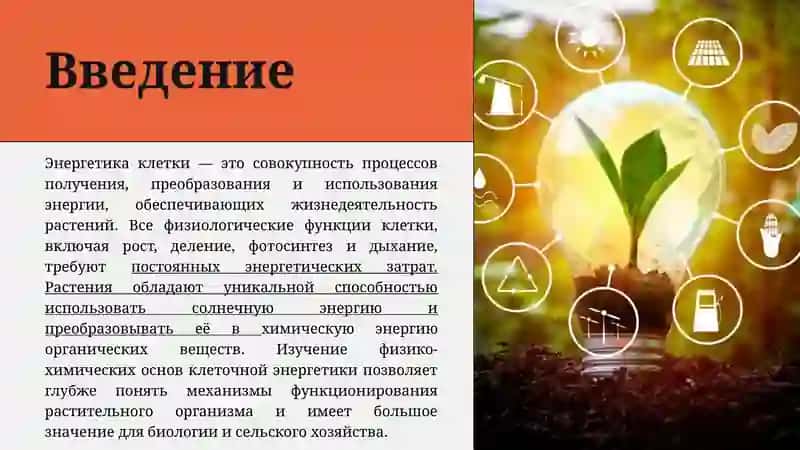 Физико-химические основы энергетики клетки 3