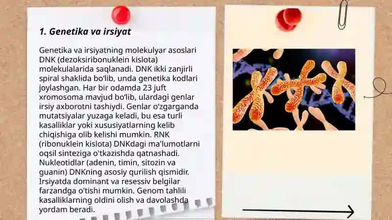 Irsiyat va salomatlik 3