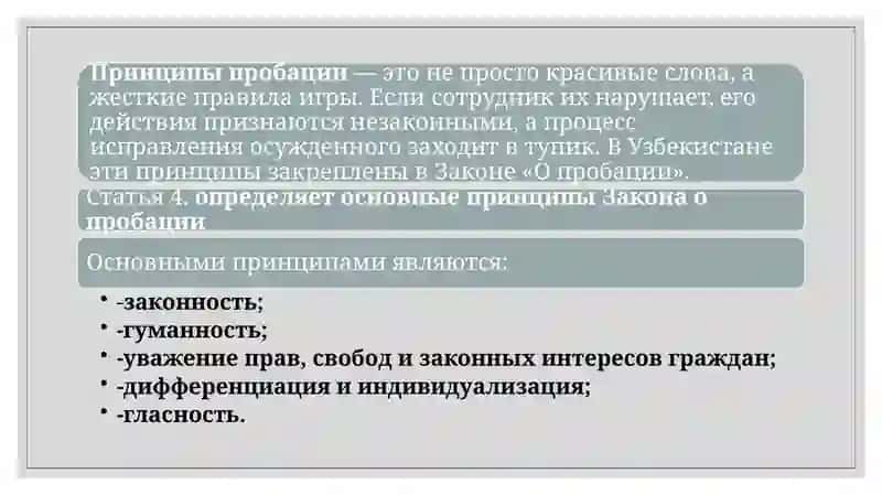 Основные принципыпробационнойдеятельности 3