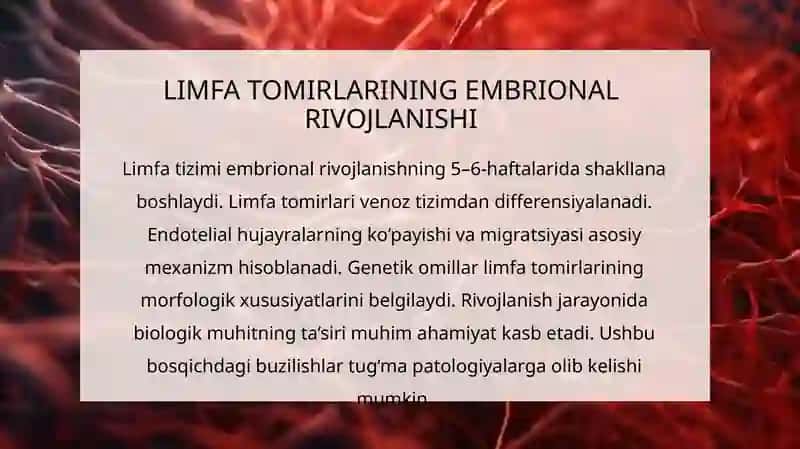 Limfa Tomirlarining Taraqqiyotiga va Tuzilishiga Ijtimoiy va Biologik Muhitlarning Ta'siri 3