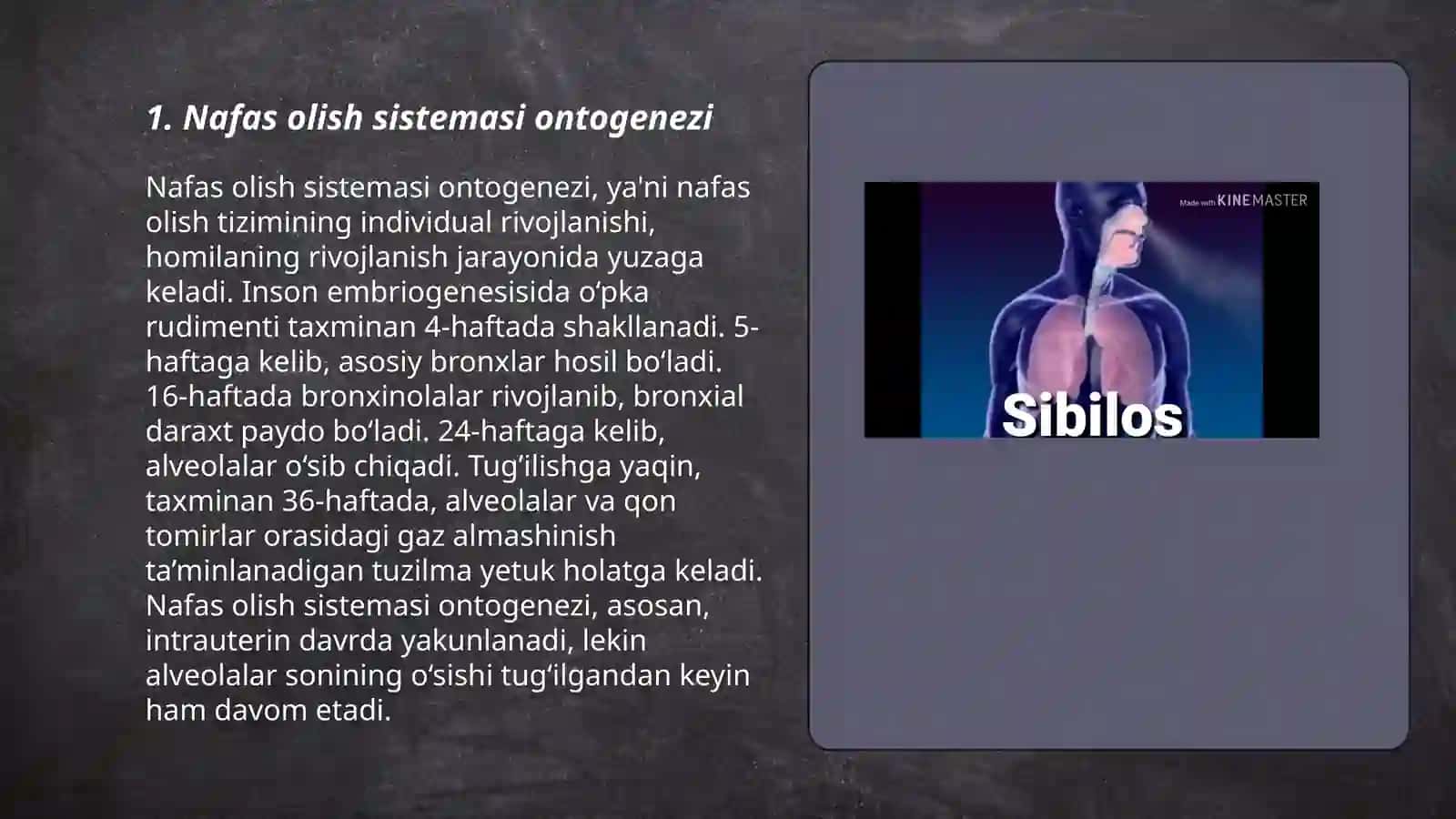 Nafas olish qon aylanish endokarin ayrish sistemasi 3