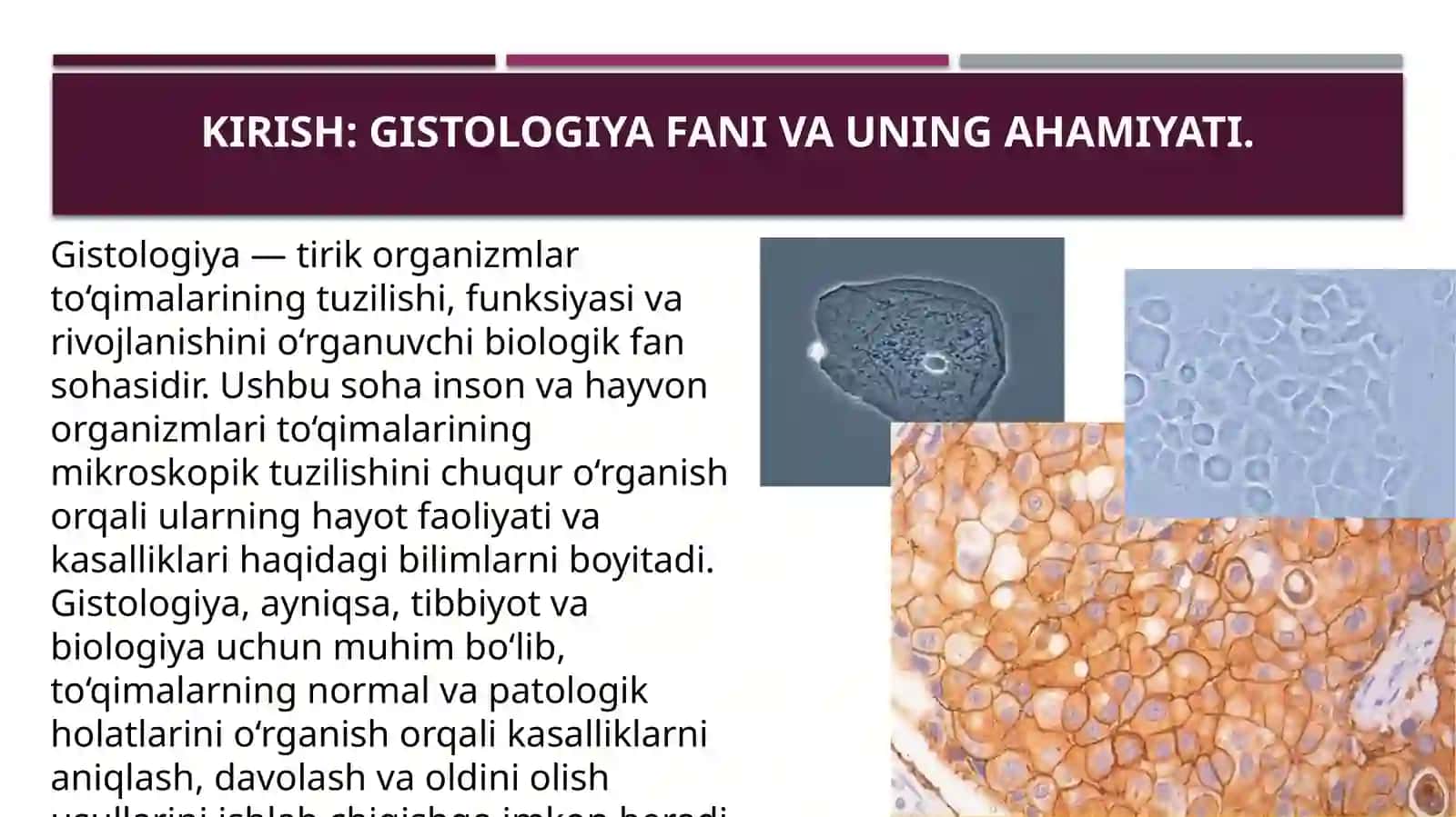 Gistologiyadaqo`llaniladigan tadqiqot usullari 3
