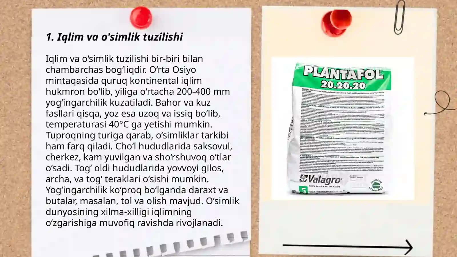 Turli Muhit sharoitida o'sgan o'simliklarning tuzilishini taqqoslash 3