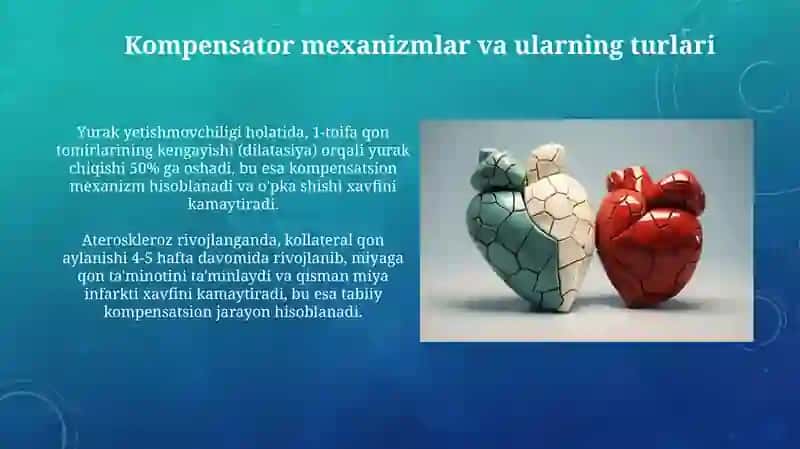 Yurak-qon tomirlar tizimida regenerator va kompensator jarayoni 3