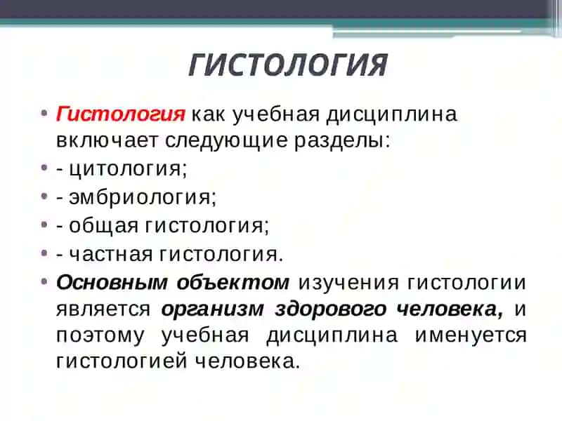 Гистология 3