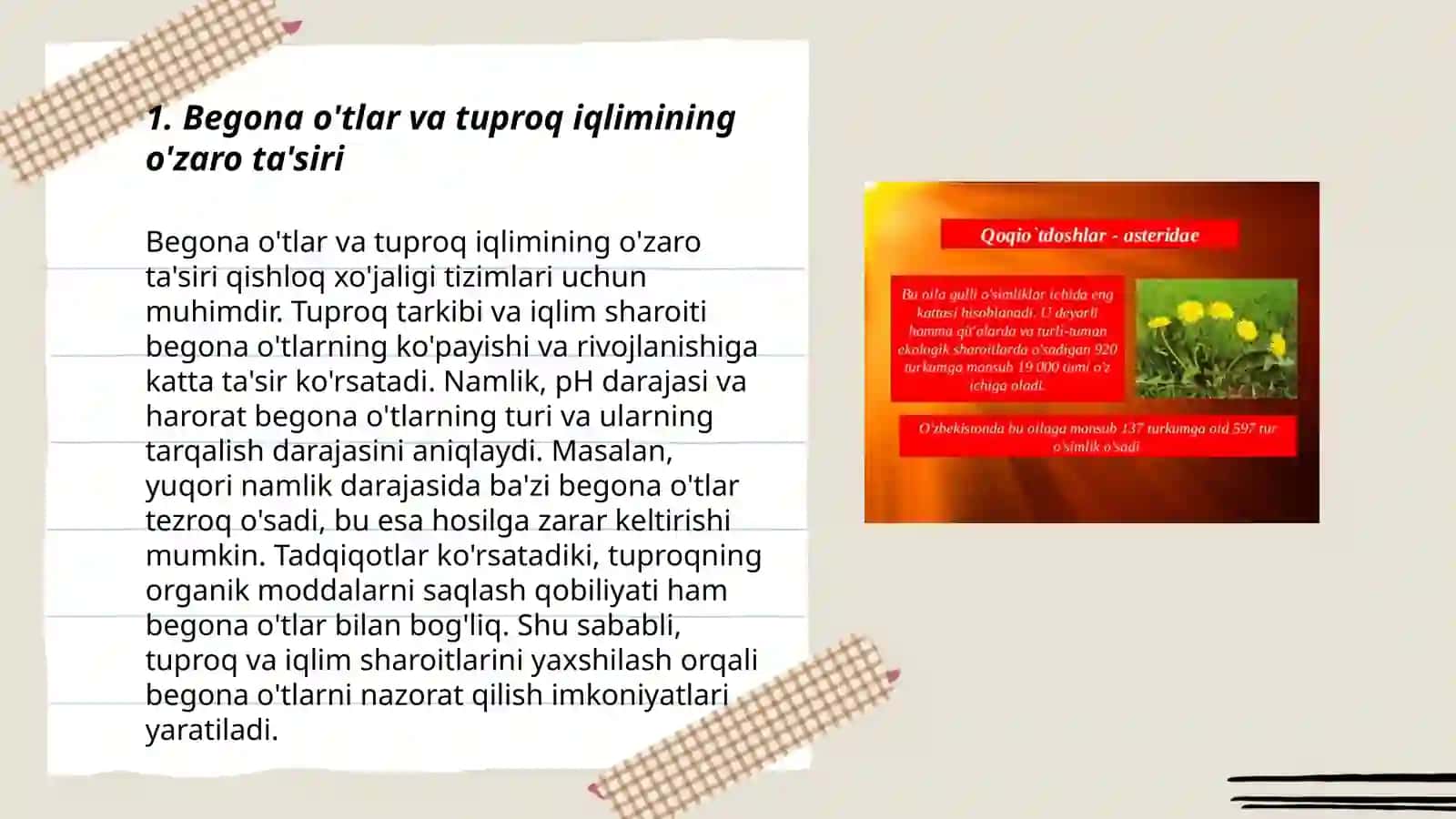 Begona oʻtlarning tuproq iqlim sharoiti va ekinlar agrotexnikasiga bogʻliq holda tarqalishi va ularga qarshi kurash 3