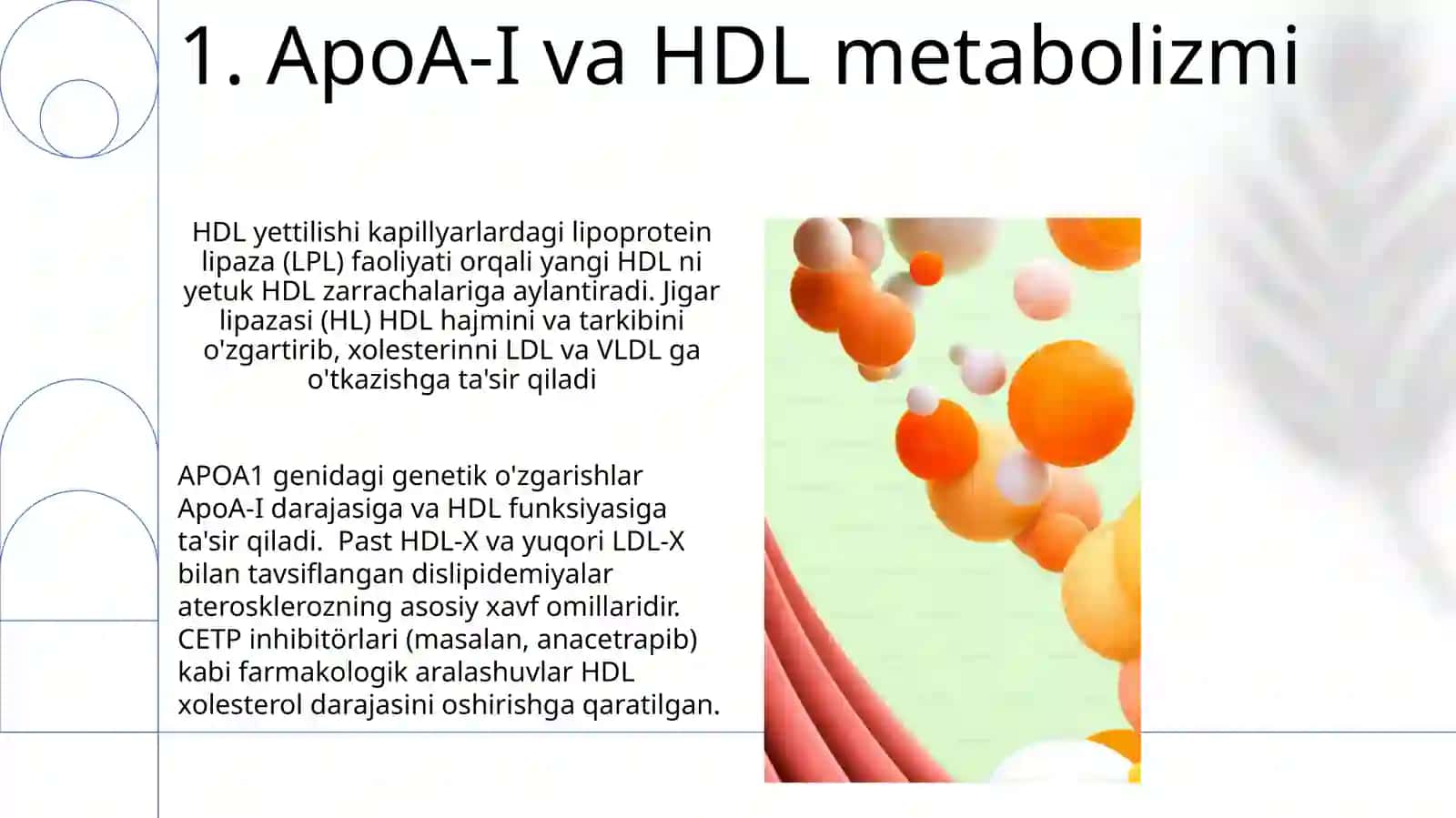 Xolesterin tashilishida qatnashuvchi apo oqsillat 3