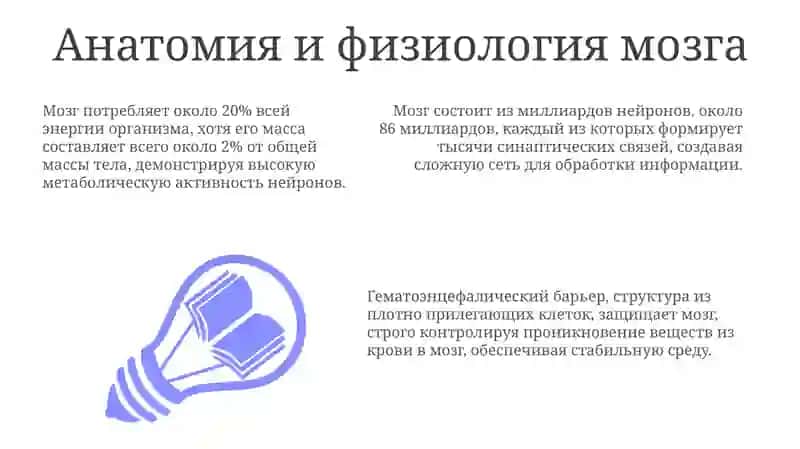 Головной мозг 3