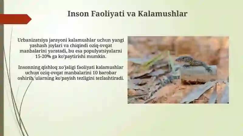 O'zbekistonda tarqalgan kaltakisaklar ularning hayot kechirishivaahamiyati 3