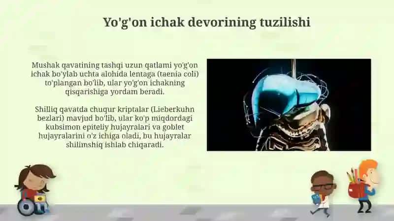 Yo'g'on ichak, jigar, meda osti va ot qopi gistalogiyasi 3