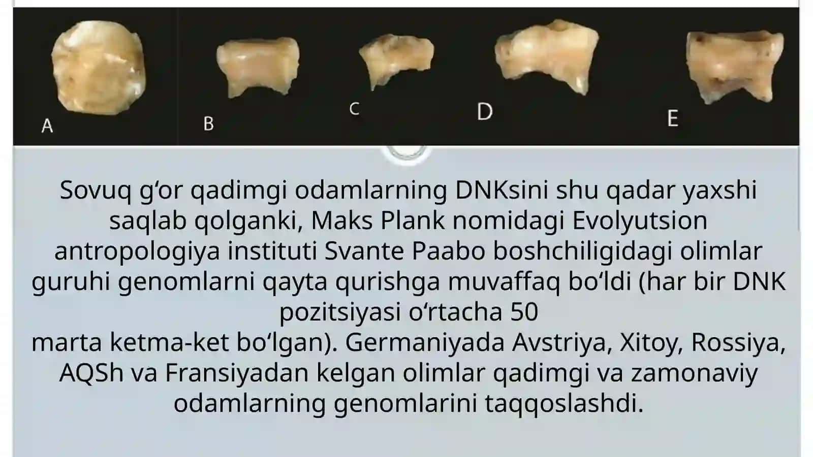 Denisova odamlari 3