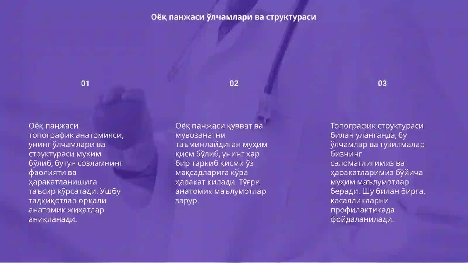 Оёқ панжаси топографик анатомияси 3