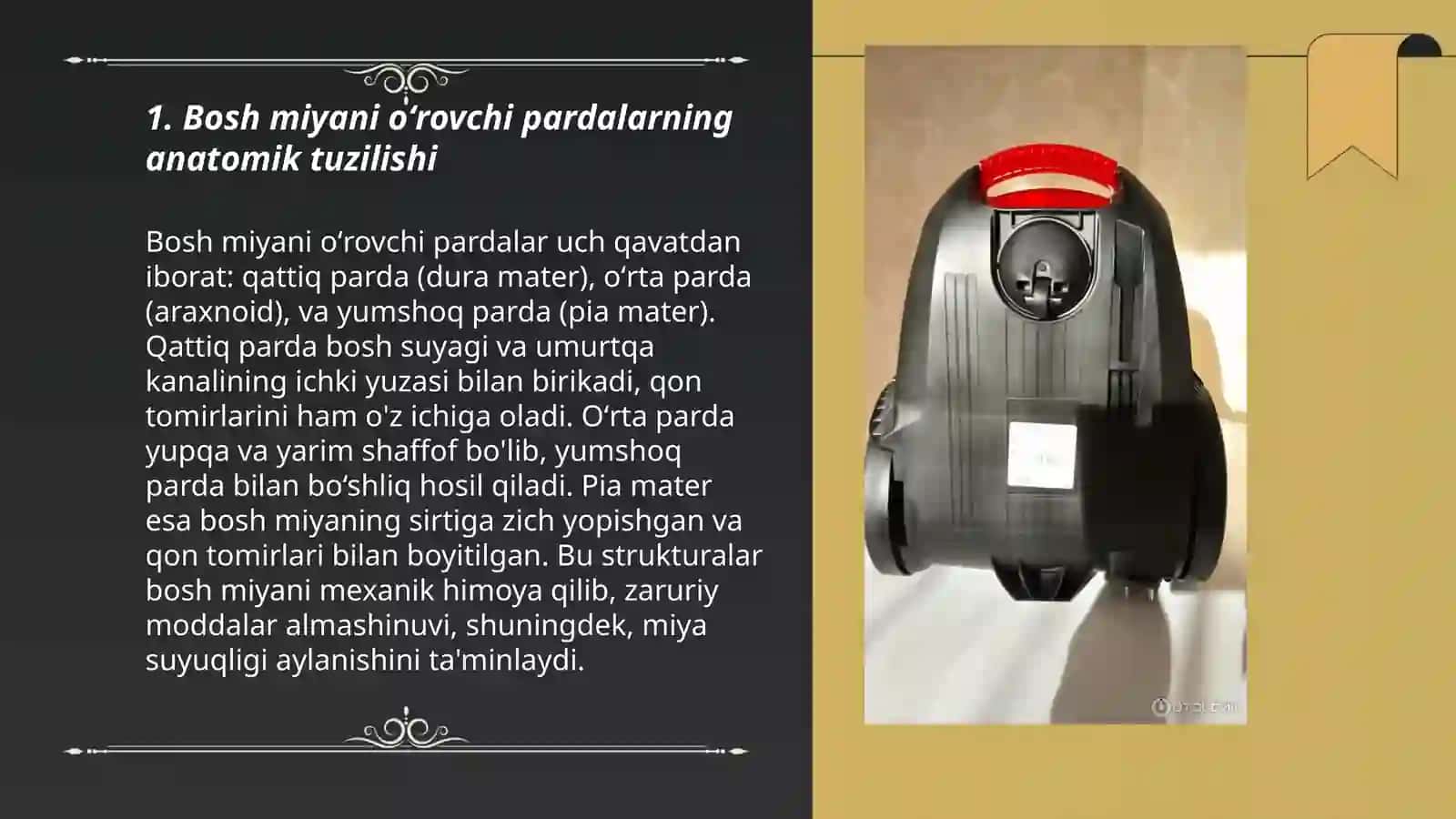 Bosh miyani oʻrovchi pardalar va ularning hosilalari 3
