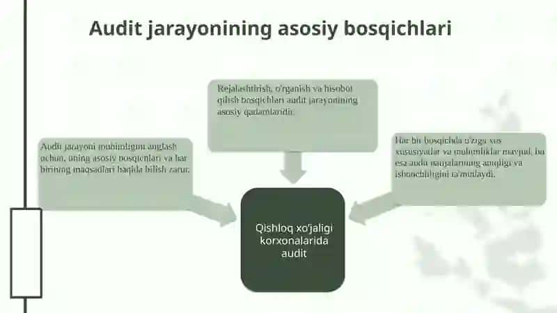 Qishloq xo’jaligi korxonalarida audit 3