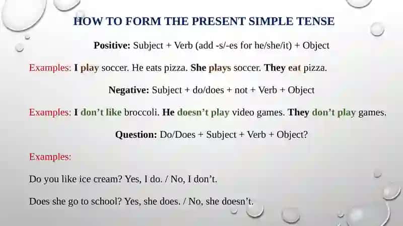 Simple Present Tense 3
