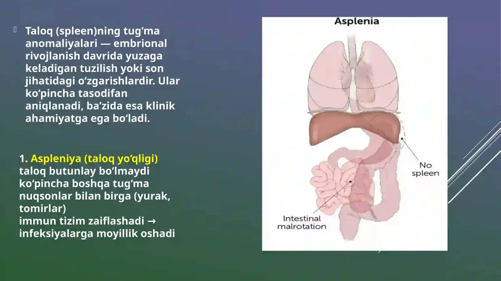 PATALOGIK ANATOMIYAfanidantayyorlaganmustaqilishi 3