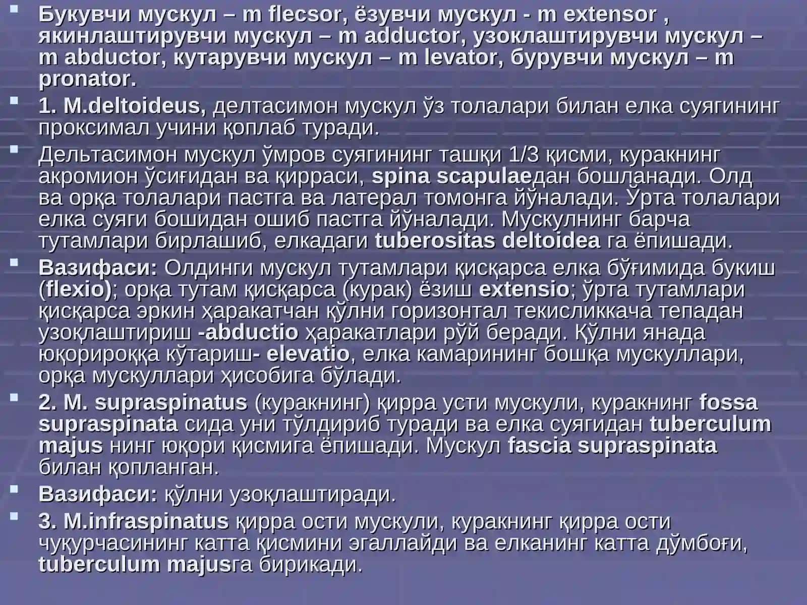 Маъруза 8 Мавзу: Қўл ва оёқ мушаклари 3