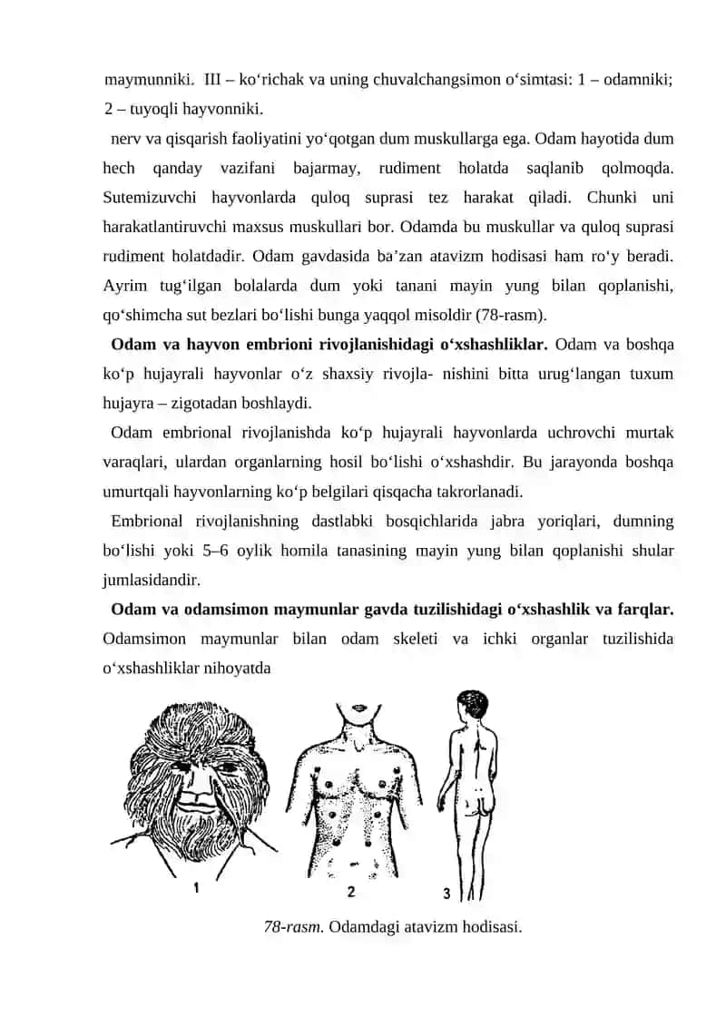 Odam Evalyutsiyasi 3