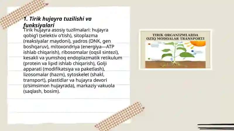 Tirik organizmlar va ularda kechadigan hayotiy jarayonlar 3