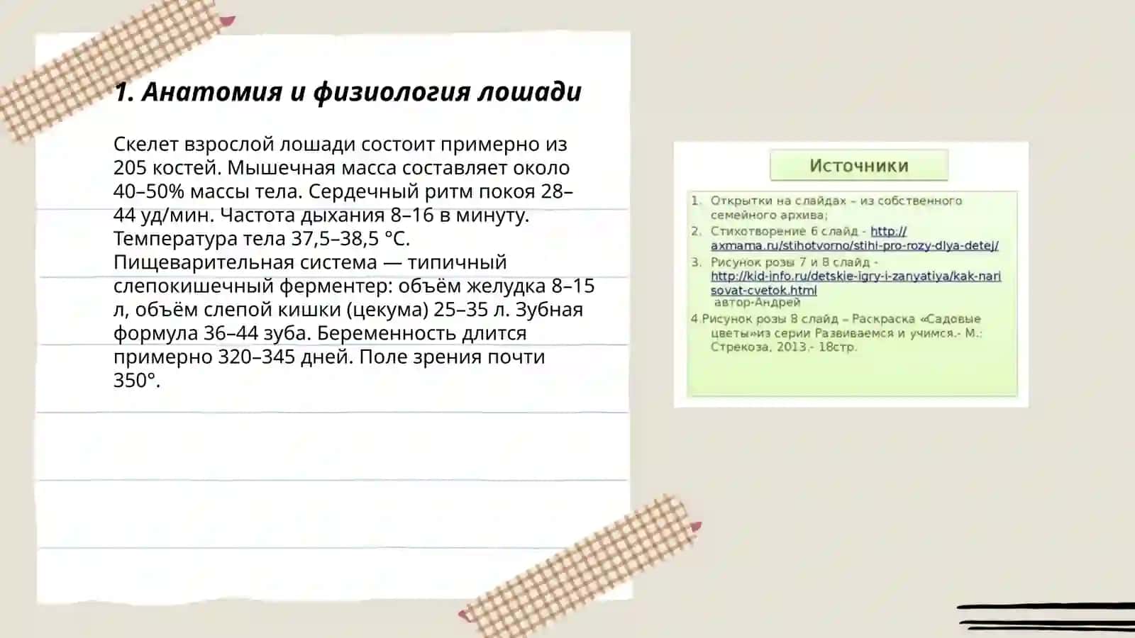 Анатомия ва физиологияи асбоби 3
