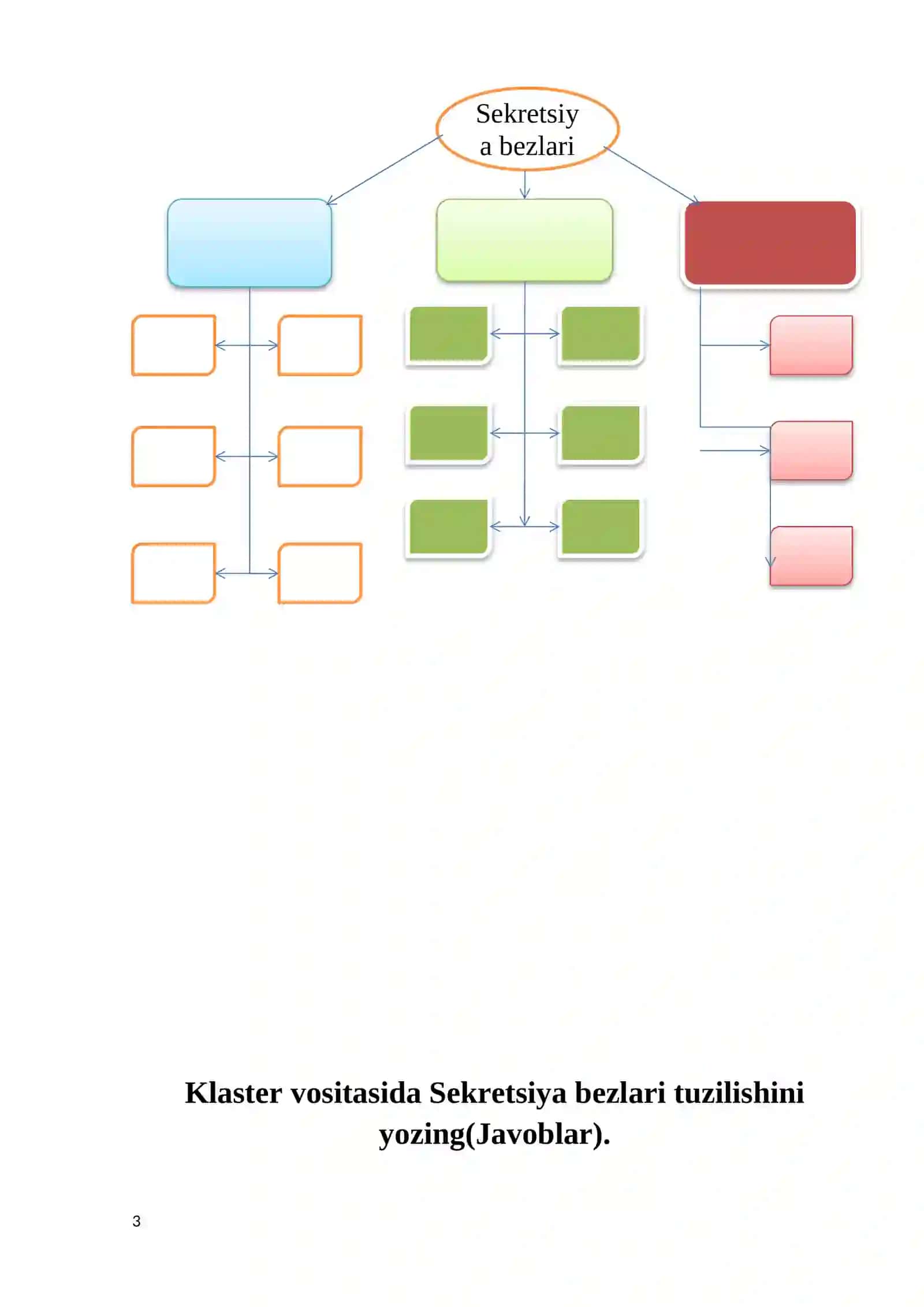 Klaster vositasida Sekretsiya bezlari tuzilishini yozing(Javoblar) 3