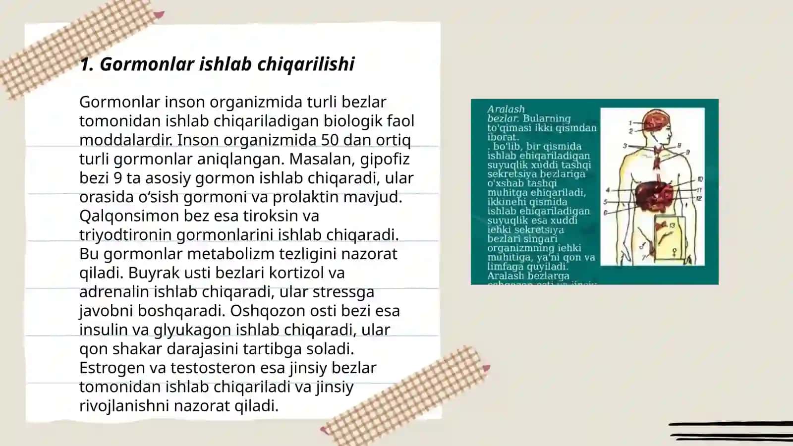 Ichki sekretsiya bezlarining tuzilishi 3
