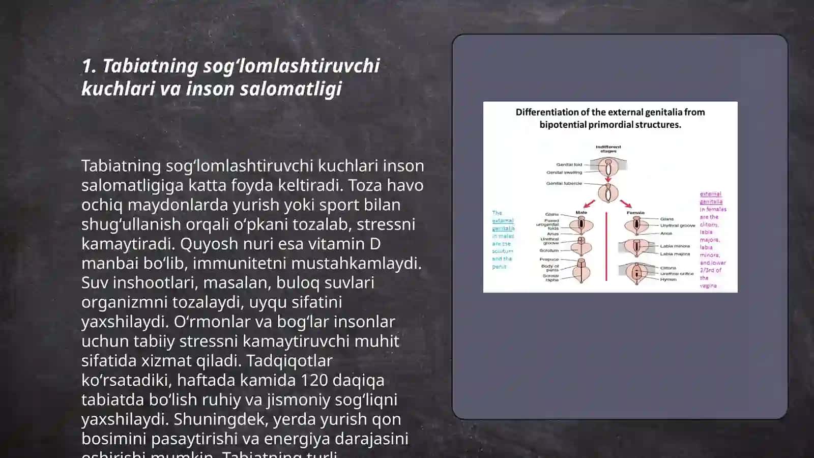 Tabiatning sogʻlomlashtiruvchi kuchlari va gigiyenik omilllari 3