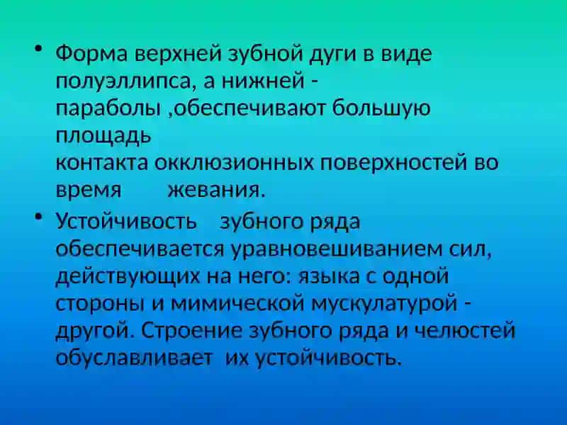 Строение зубных дуг 3