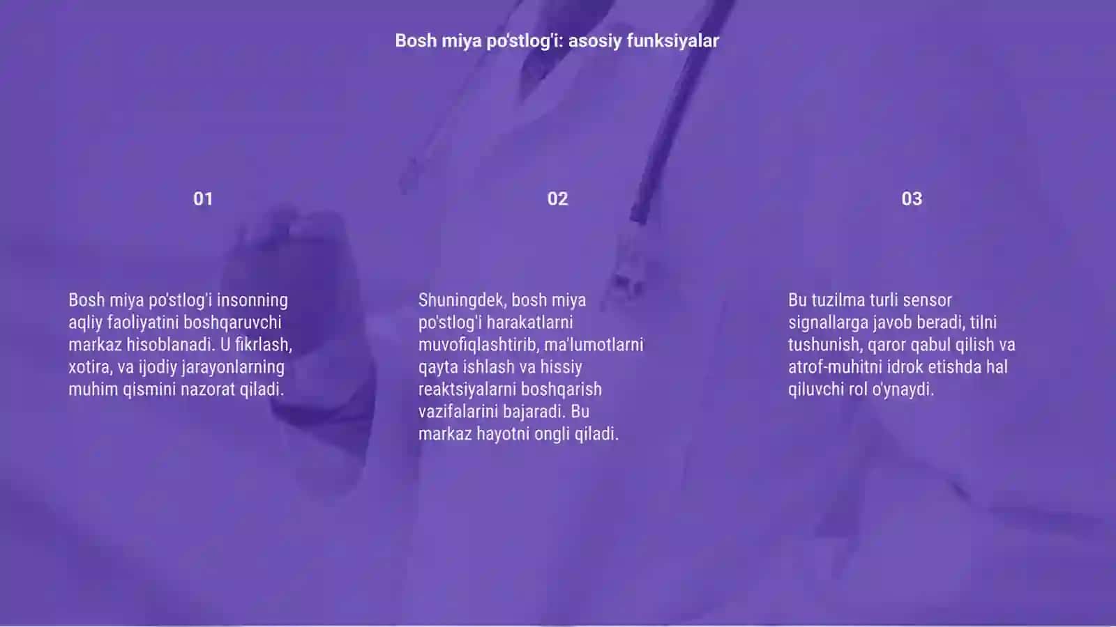 Bosh miya po'stlog'i faoliyati 3