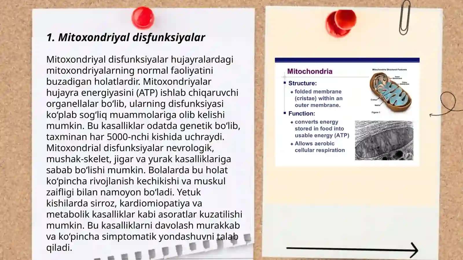Mitoxondrial kasalliklar gipoenergetik holatlar 3