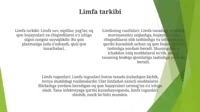 Limfaning Hosil BoʻLishi, Tarkibi Va Vazifalari 3