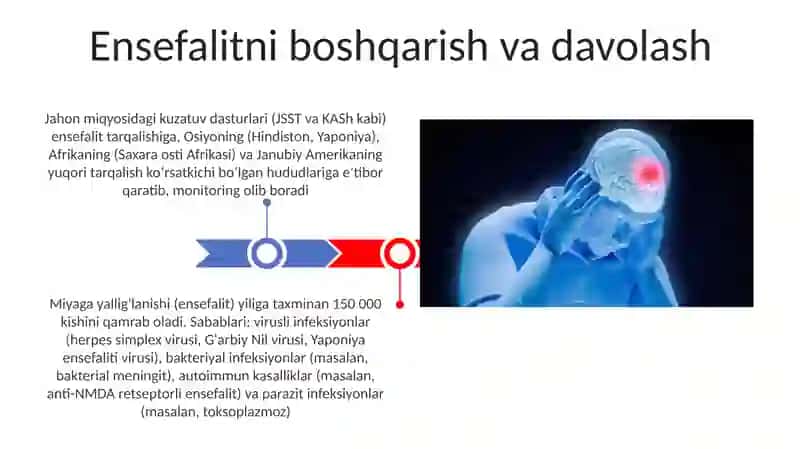 Ensefalitlar kasalligining kelib chiqishi sabablari va asoratlari 3