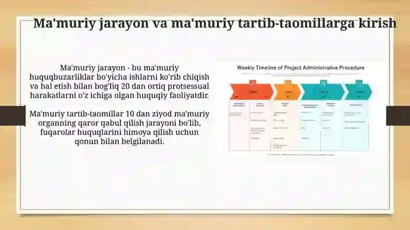 Ma'muriy jarayon va mamuriy protseduralar 3