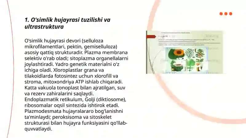 O'simliklar fiziologiyasi 3