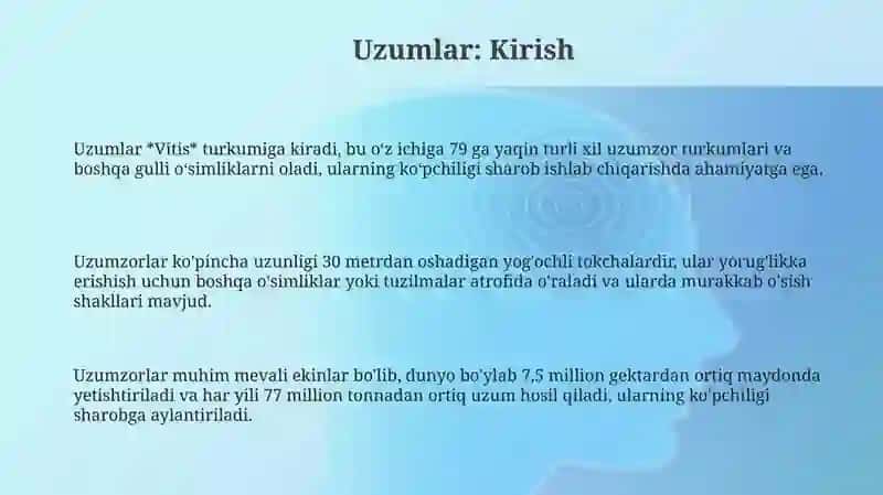 Uzumlar 3