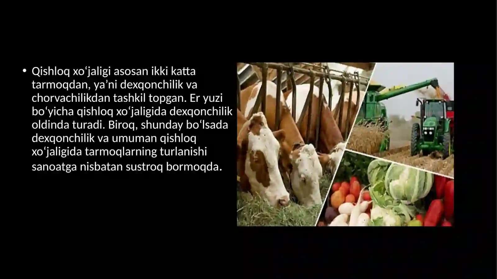 Qishloq xo‘jaligining ijtimoiy va hududiy tashkil qilish xususiyatlari 3
