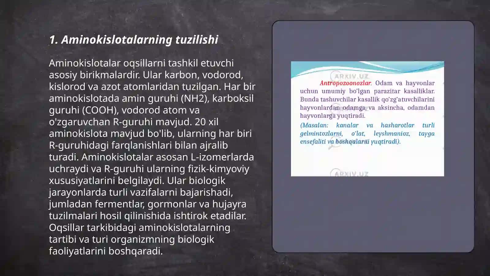 Aminokislotalar,nukleotidlar va ularning metabolizmi bilan bog'liq molekulalar 3