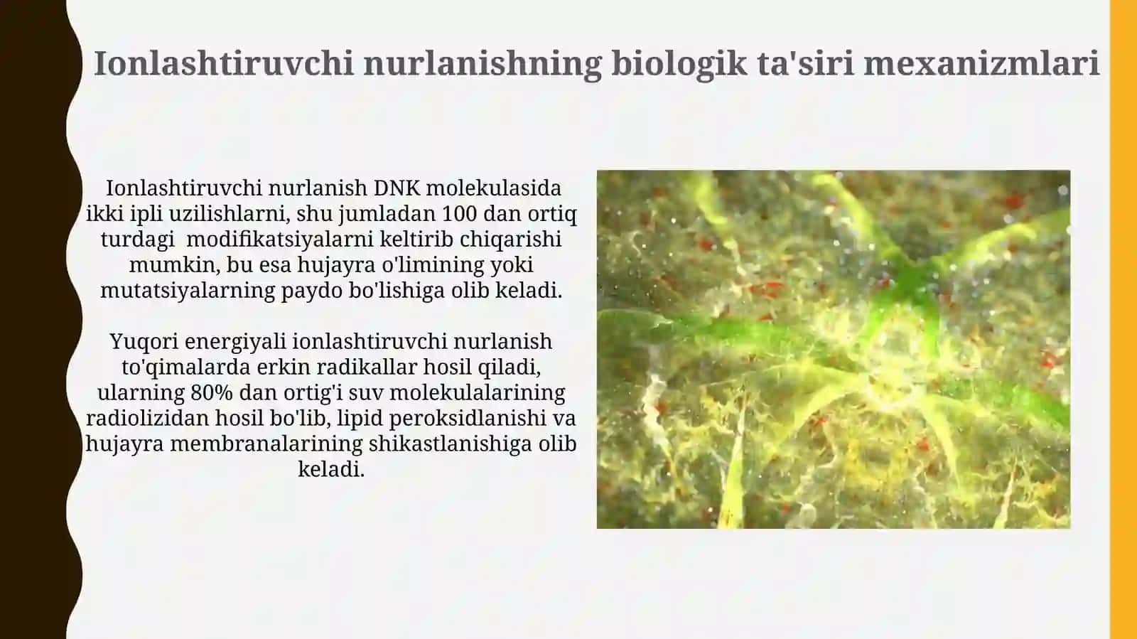 Ionlashtiruvchi nurlanishning biologik ta'siri mexanizmlari 3