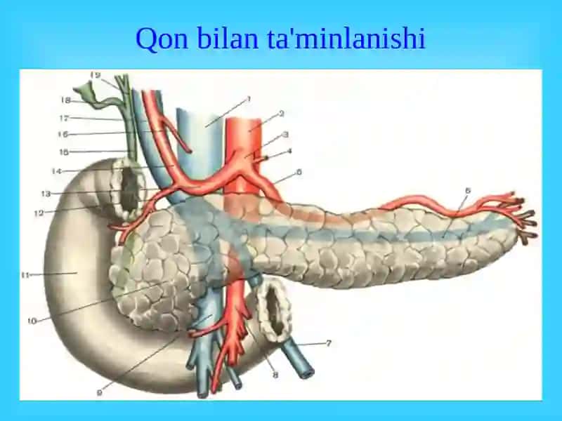 Me'da osti bezi kasalliklari 3