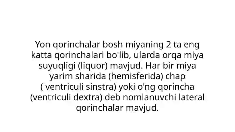 Yonqorinchalar anatomiyasi 3