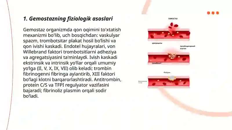 Gemostaz.Fibrinoliz.Qon quyish asoslari 3