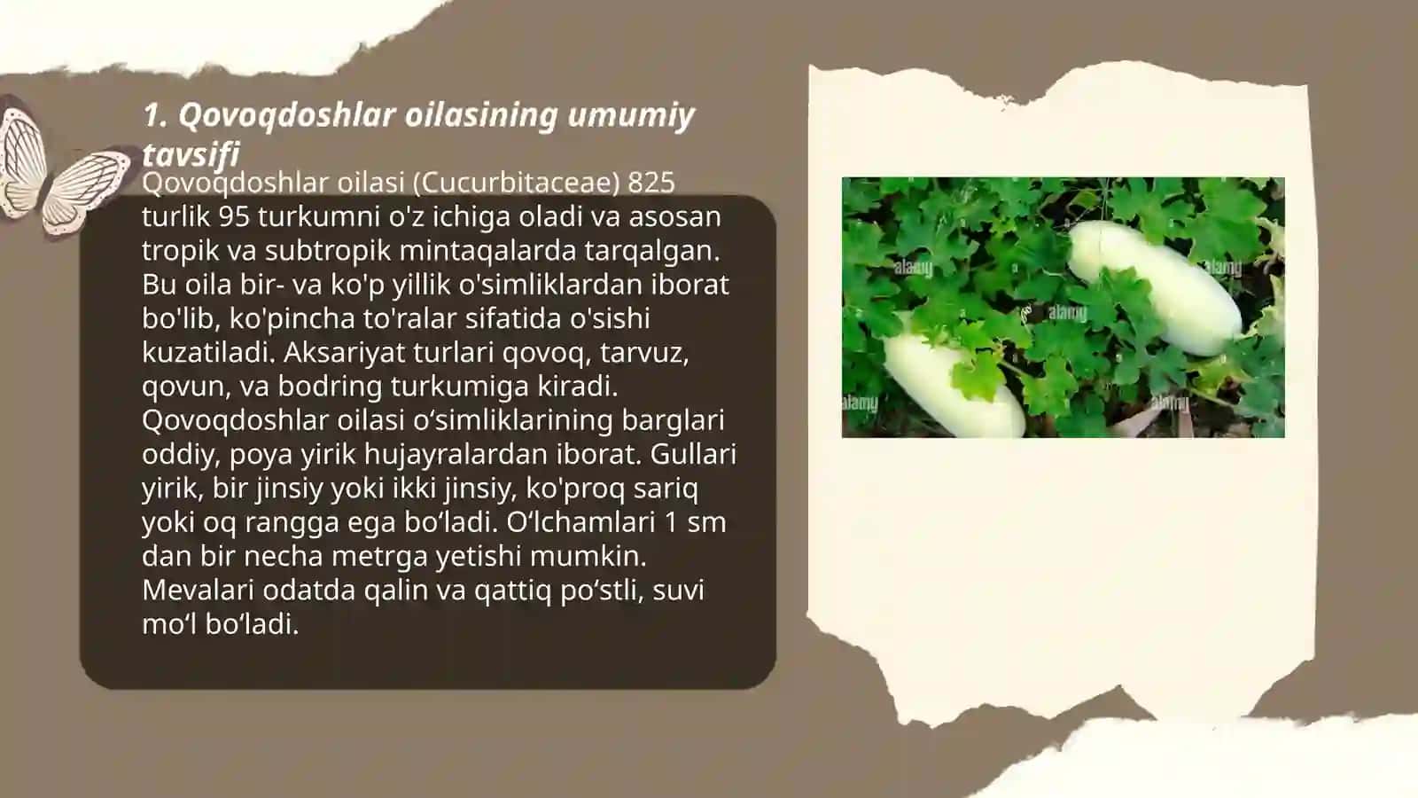 Qovoqdoshlar navlari haqida 3